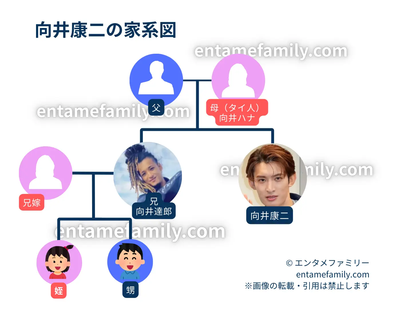 向井康二の家系図・家族構成