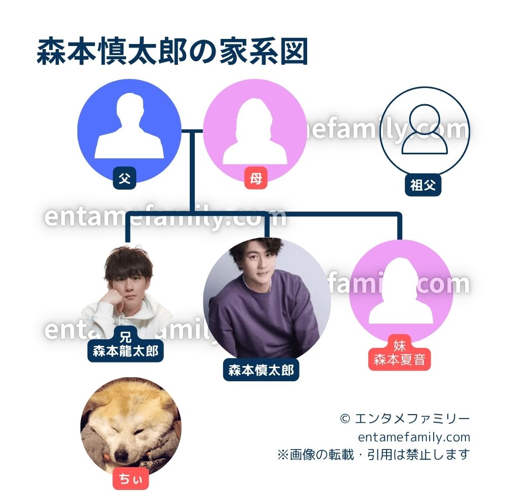 森本慎太郎の家系図・家族構成