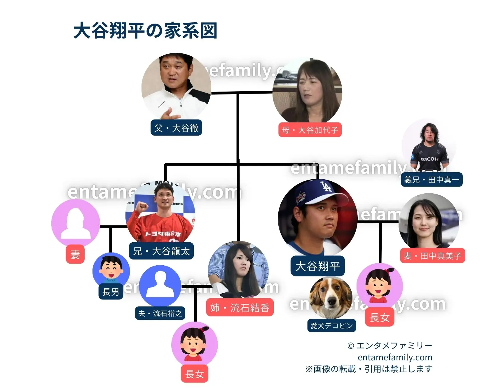 大谷翔平の家系図・家族構成